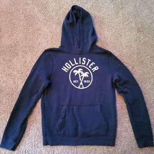 Hollister Womens Size Small S Hoodie Sweatshirt